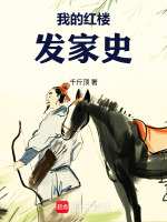 小说《我的红楼发家史小说千斤顶》封面