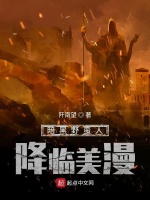 小说《暗黑野蛮人好玩吗》封面
