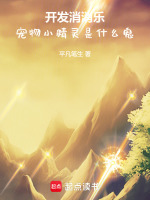 小说《开心消消乐里的小精灵是咋回事》封面