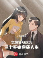 小说《觉醒3o集》封面