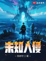 小说《未知入侵》封面