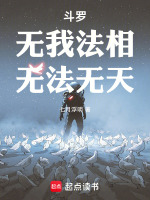 小说《斗罗:我,无影剑,能无限暴击》封面