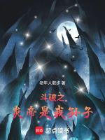 小说《斗破之炎帝传说》封面