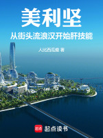 小说《美利坚:从街头流浪汉开始肝技能无防盗》封面