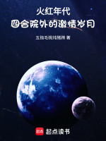 小说《火红年代四合院外的激情岁月齐齐读》封面