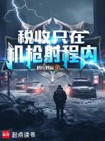 小说《税收只在机枪射程内百度网盘》封面