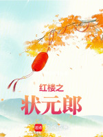 小说《红楼状元郎周怀安小说》封面