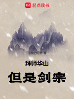 小说《暗黑2单机德鲁伊纯召唤玩法》封面