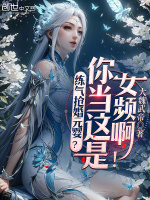 小说《炼气元婴小说》封面