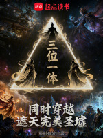 小说《穿越遮天完美世界的诸天流小说》封面