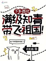 小说《知青下乡条件》封面