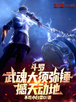 小说《武魂是大须弥锤》封面
