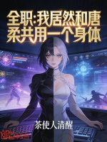 小说《全职:我居然和唐柔共用一个身体》封面