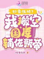 小说《抄家流放我搬空国库辅佐新帝》封面