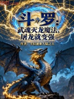 小说《武魂灭神枪》封面