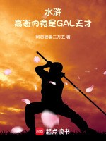 小说《水浒高衙内不得不说的故事》封面