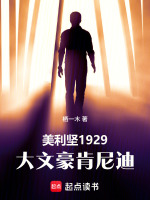 小说《美国肯尼迪中心独唱音乐会》封面
