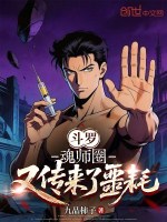 小说《斗罗大陆所有魂师的魂环配置》封面
