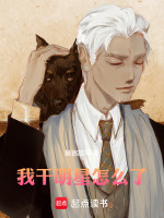 小说《我当明星的那些日子》封面