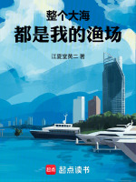 小说《大海就是我》封面