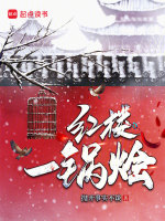 小说《红楼一锅烩》封面