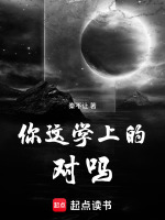 小说《你学的是什么英文》封面