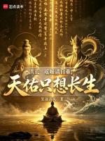 小说《关于瑶姬的小说》封面