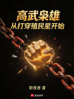 小说《从高武穿越到低武的小说》封面