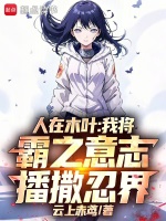 小说《人在木叶莽到你发慌小说》封面